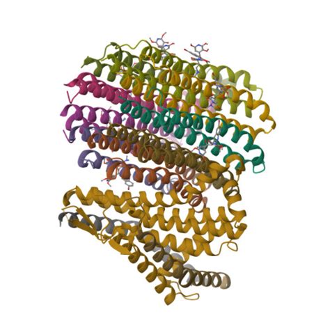 Rcsb Pdb G B Cryo Em Structure Of Tbaj Bound Mycobacterium