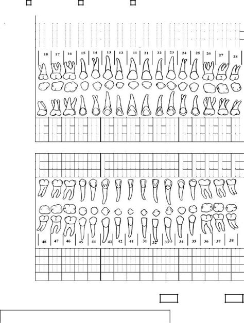 Blank Periodontal Charting Form Pdf