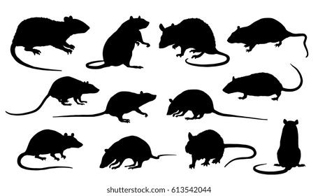 66 Rat horror tattoo Images, Stock Photos & Vectors | Shutterstock