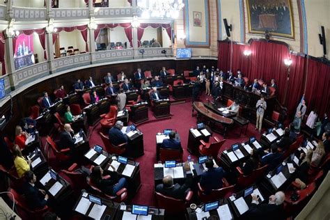 El Senado bonaerense designó representantes ante el Consejo de la