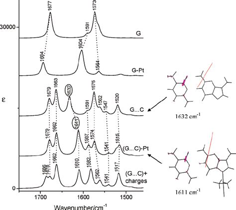 Comparison Of Ir Absorption Spectra Of Guanine G And Its Cis Pt