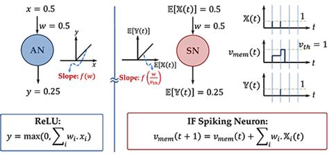 Frontiers Exploring The Connection Between Binary And Spiking Neural