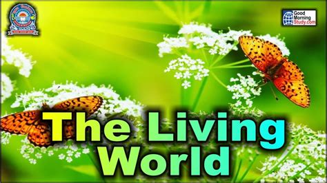 The Living World What Is Living Biology L Class 11 Chapter 1