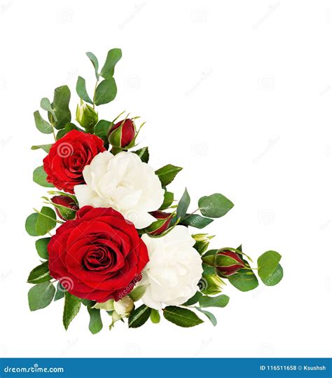 Red And White Rose Flowers With Eucalyptus Leaves In A Corner Ar Stock ...