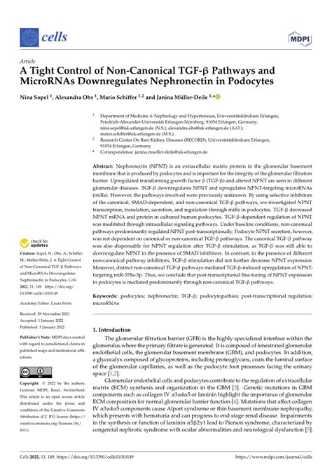 Pdf A Tight Control Of Non Canonical Tgf Pathways And Micrornas