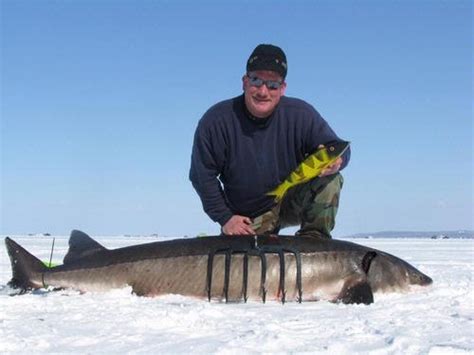 Wisconsin Fishing Reports: Sturgeon Spearing 2013