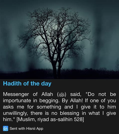 Pin By Rafeew Imtinan On Spiritualit Hadith Of The Day Prophet