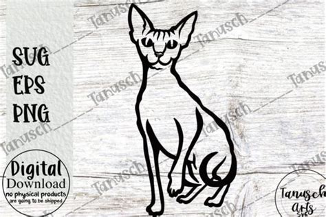 3 Sitting Sphynx Cat Svg Black Cat Svg Designs Graphics