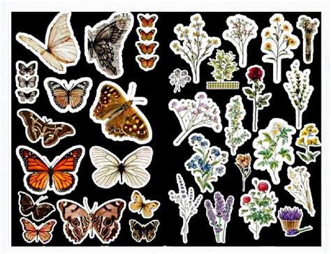 Butterfly And Flower Sticker Printable Butterfly Stickers Flower