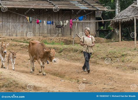 Hmong Village