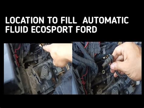 LOCATION TO FILL AUTOMATIC TRANSMISSION FLUID ECOSPORT YouTube