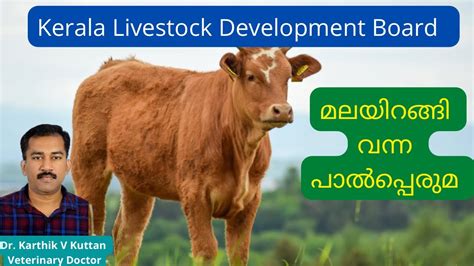 Farming Malayalam Dairy Farm Kerala Kldb Dairyfarming