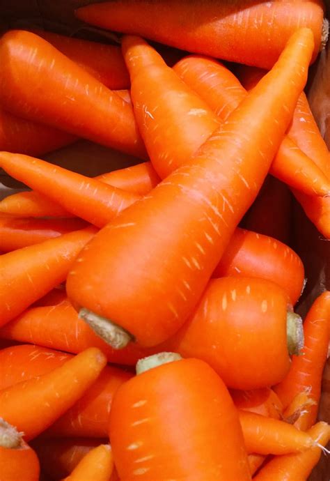 Carrots Vegetables Free Image Peakpx