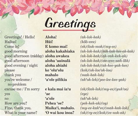 Basic Hawaiian Words And Phrases