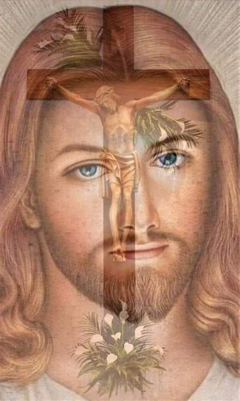 Pin By Sichem Sovero Soto On Rostro De Jes S Jesus Photo Mary Jesus