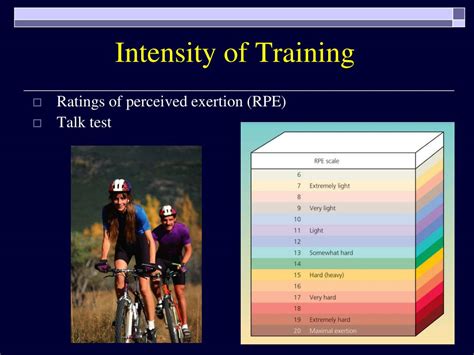 Ppt Cardiorespiratory Endurance Powerpoint Presentation Free