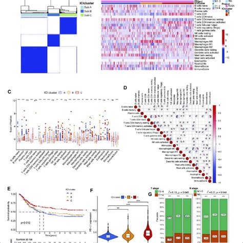 Identification Of Immune Molecular Subtypes And Characteristics Of Download Scientific