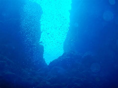 沖縄石垣島 光が差し込む海中 フリー（無料）写真素材 ダウンロード Blue Green