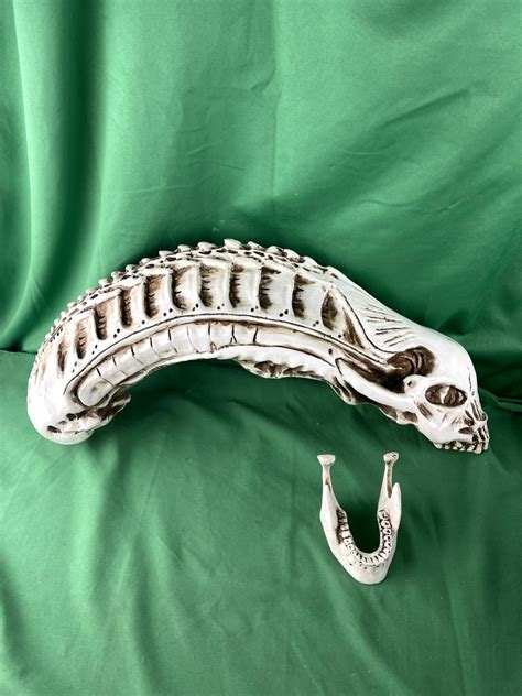 Aliens Xenomorph Skull Replica Mount Display Aliens vs. Predator ...