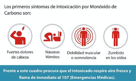 Cu Les Son Las Medidas Necesarias Para Prevenir Intoxicaciones Por