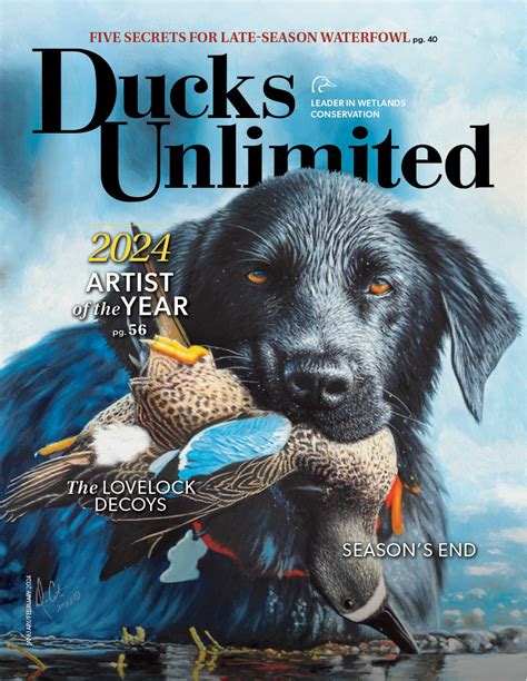 Du Magazine Ducks Unlimited