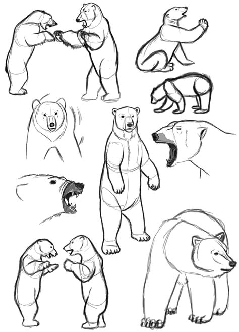 The Domain Name Is For Sale Bear Sketch Polar Bear