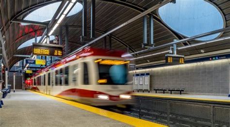 Calgary Man Succumbs To Injuries After August C Train Assault News