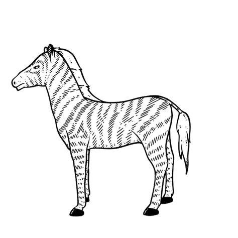 Premium Vector Hand Drawn Zebra In Doodle Style Sketch