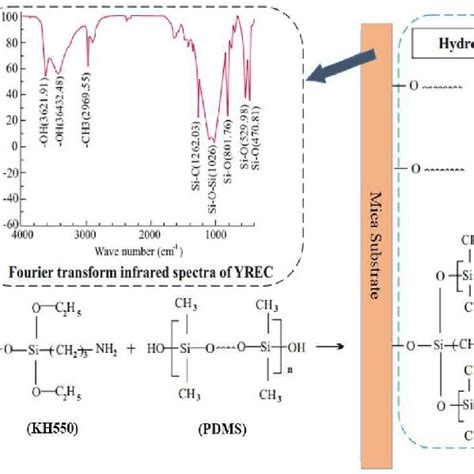 Coupling Mechanism Of Mica And PDMS Using A Silane Coupling Agent 39