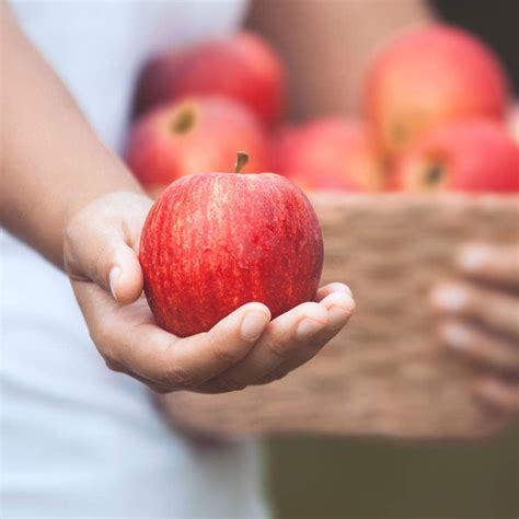 Por qué hay que comer una manzana todos los días para prevenir