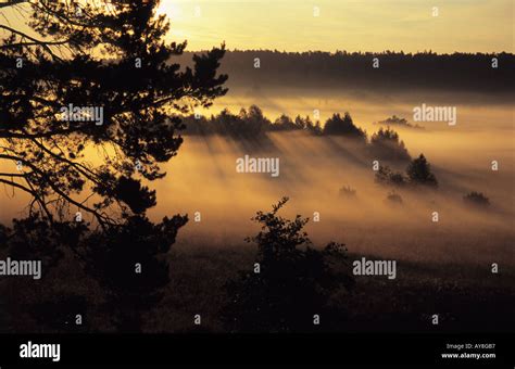 Sunrise Landscape Gauja River Valley Gaujiena Latvia Stock Photo Alamy