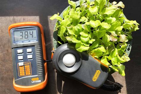 Of The Best Light Meters For Houseplants And Indoor Gardening