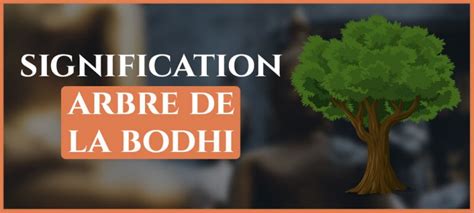 Symbole Bouddhiste D Couvrez Toutes Les Significations