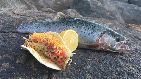 Rainbow Trout Tacos Ice Fishing Catch N Cook Youtube