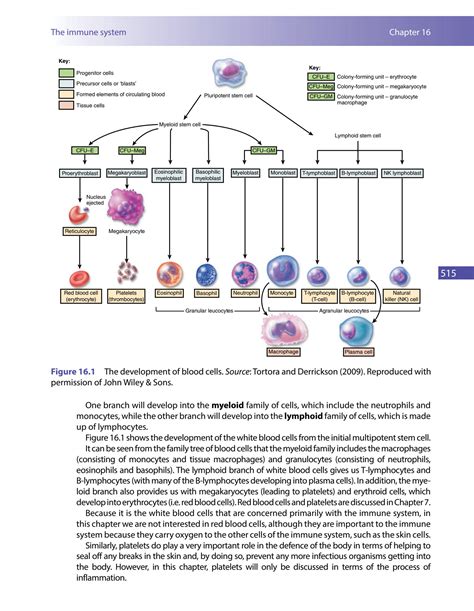 Solution The Immune System Cells Tissues Function And Disease