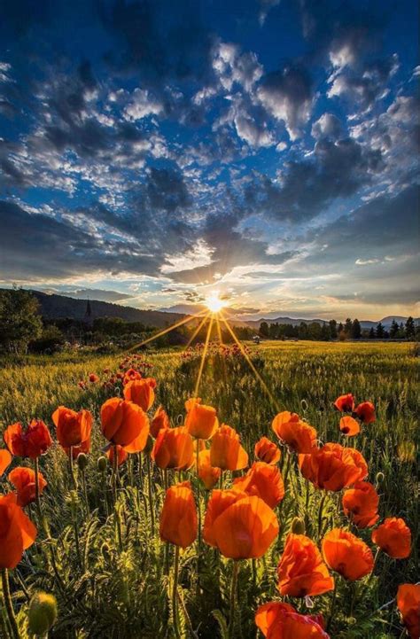 Free Images Cloud Sky Ecoregion People In Nature Natural