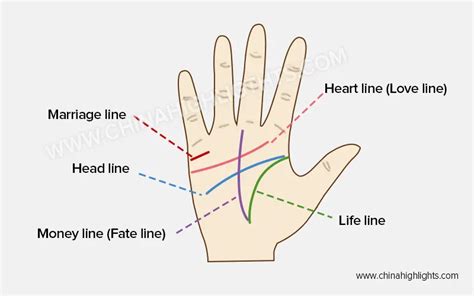 Palm Reading Guide How To Read Your Palm Lines With Chart Artofit