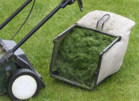 Clever Garden Recycling With Lawn Clippings - MVS Ottawa