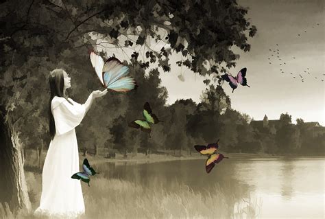 The Divine Significance Of The White Butterfly In Biblical Context