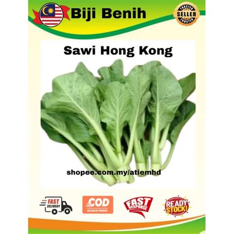 Sawi Hong Kong/Sawi Manis** Biji Benih 40pcs/seeds | Shopee Malaysia