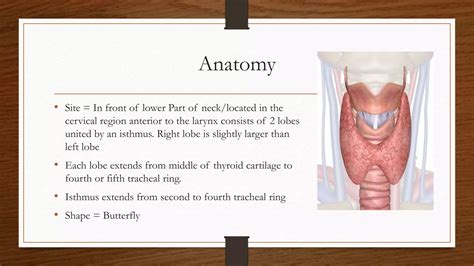 Thyroid gland examination | PPT