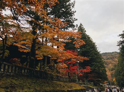 Fall Foliage In Nikko Japan Nikko Fall Foliage Travel Lifestyle Day