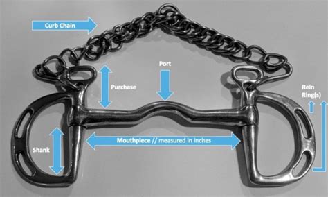 16 Common Types Of Horse Bits A Helpful Illustrated Guide Horse Rookie