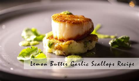 Lemon Butter Garlic Scallops Recipe The French Grocer Singapore