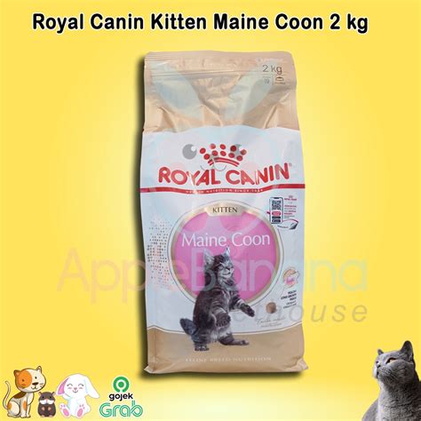 Jual Royal Canin Kitten Maine Coon 2kg RC Kitten Mainecoon 2 Kg