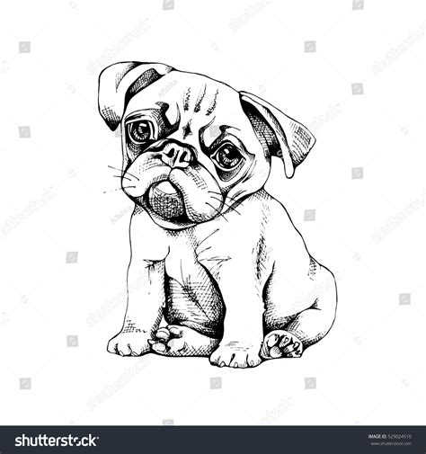 Pug Clip Art Black And White