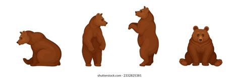 Wild Brown Bear Forest Habitant Vector Stock Vector Royalty Free