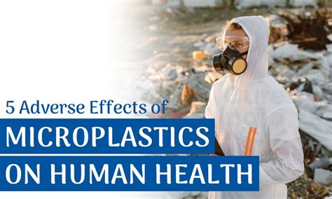 5 Adverse Effects Of Microplastics On Human Health