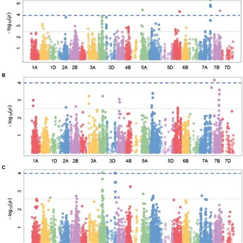 Manhattan Plots Of Audpc Fhb Severity Identified With Super A