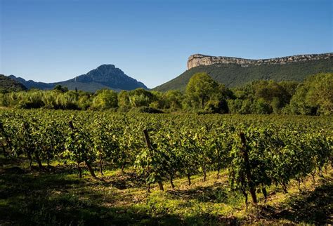 Languedoc Wines Drinks Atlas Imbibe Magazine